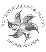 New River Birding Festival Logo