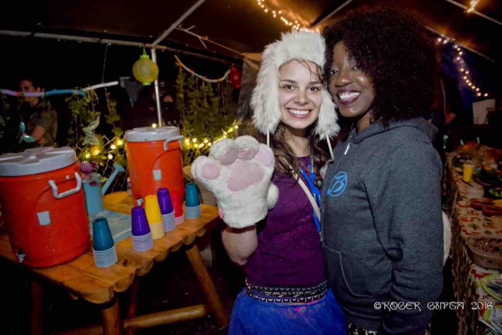 Vip Festival Riser Top 5 Reasons To Go VIP - Mountain Music Festival