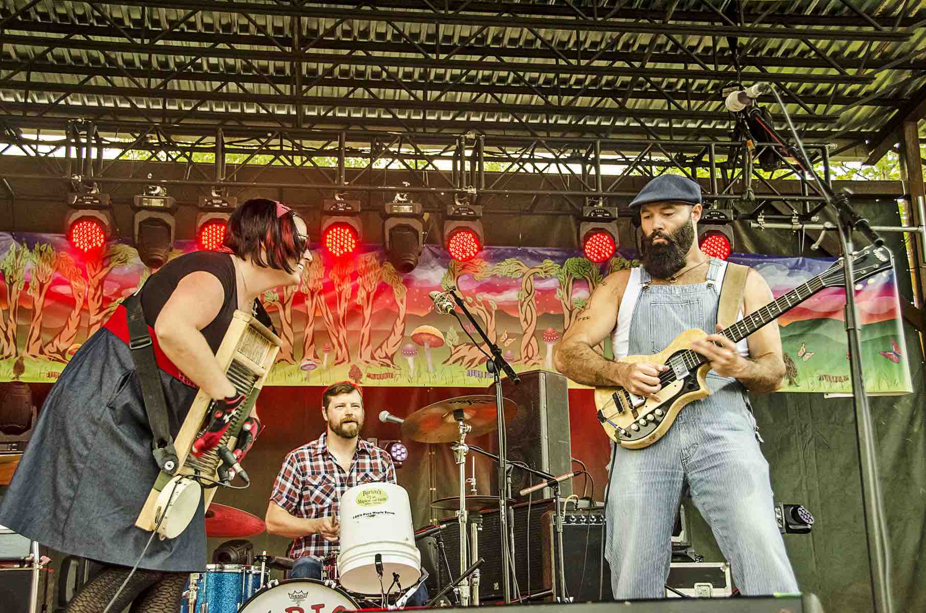reverend peytons big damn band performs at mountain music festival 2016
