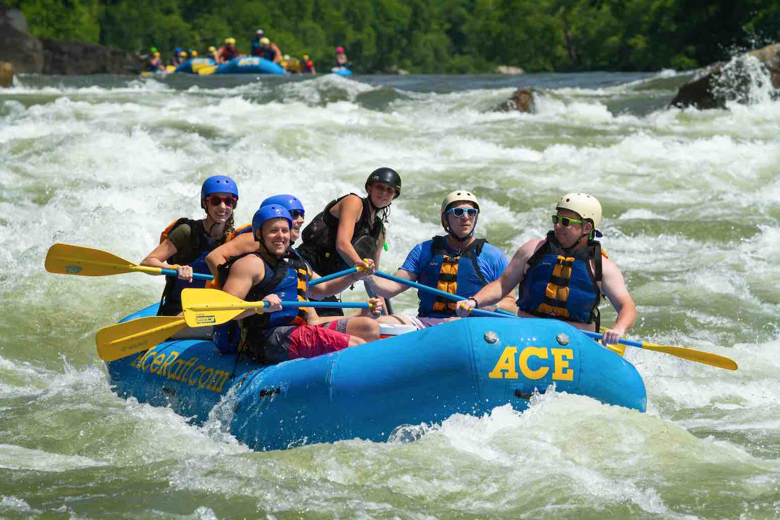 whitewater rafting in the new river gorge national park